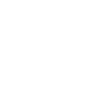 Icon Facebook Bizapp CRM