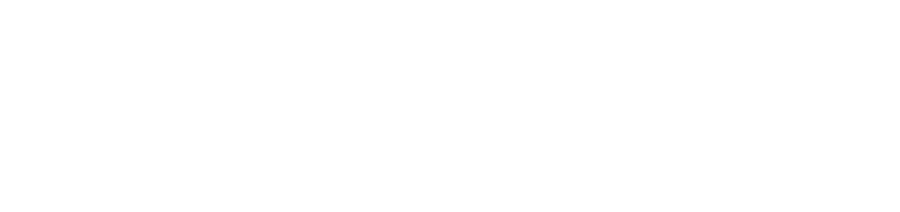 logo bizapp